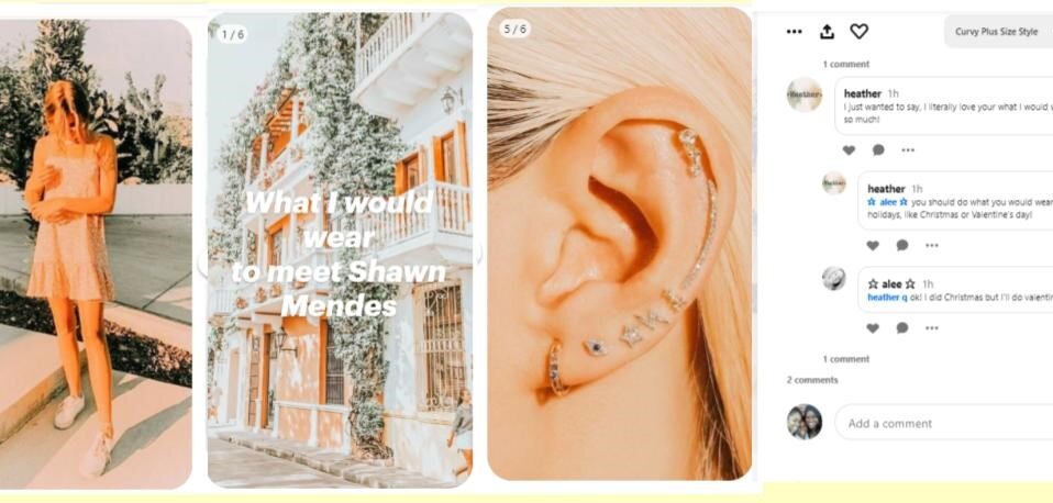 screenshot of Pinterest user Alee's story pin about meeting shawn mendes