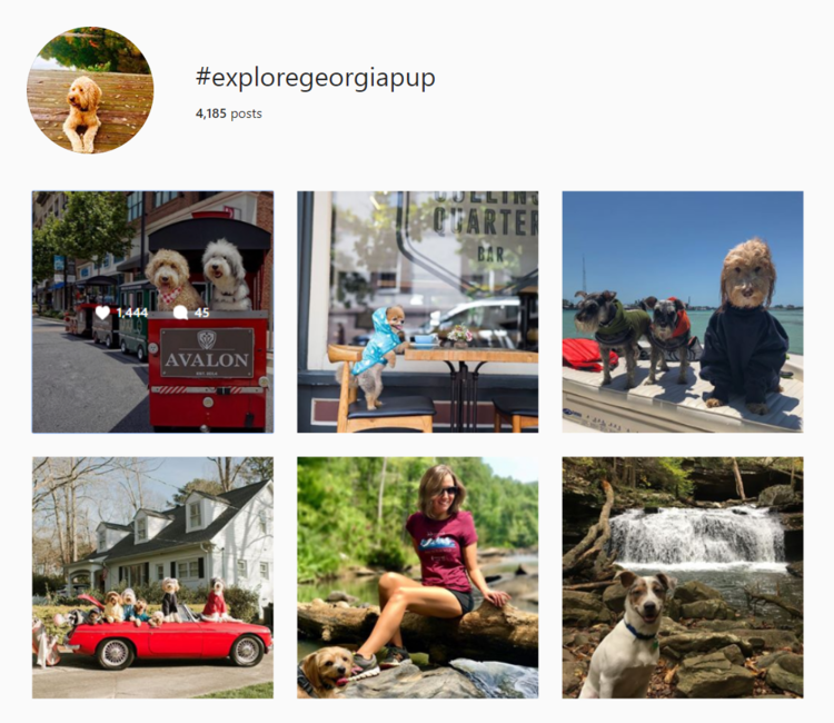 screenshot of Instagram hashtag archives for #exploregeorgiagroup