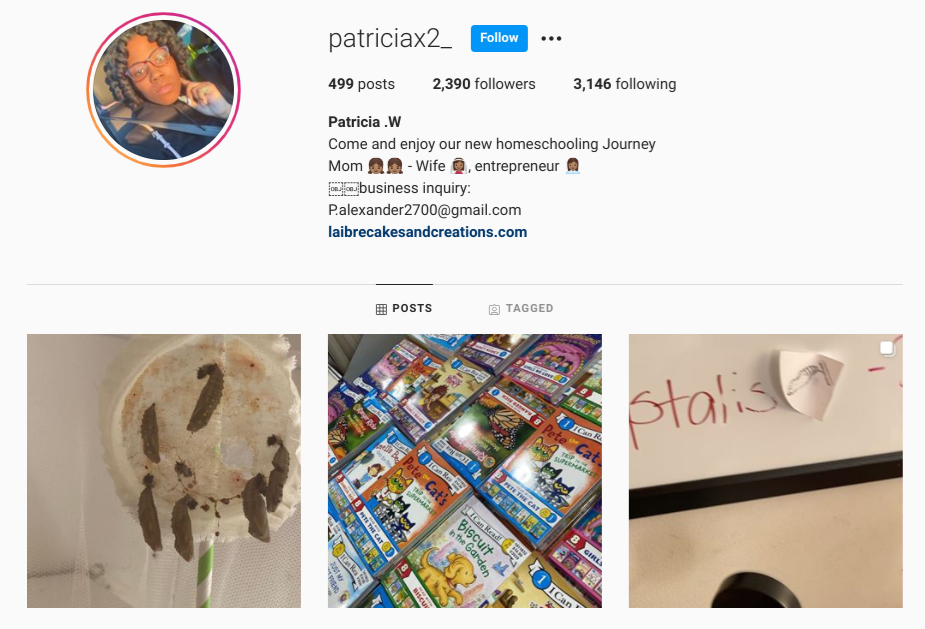 screenshot of Instagram profile for @patriciax2_