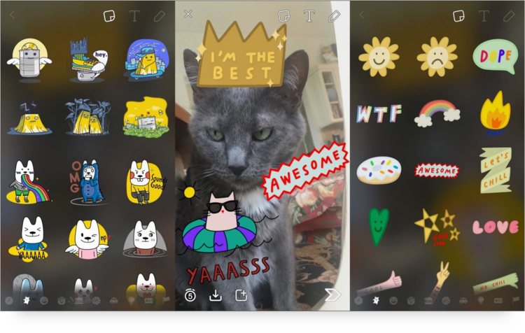  Picture of cat surrounded by Snapchat cat stickers